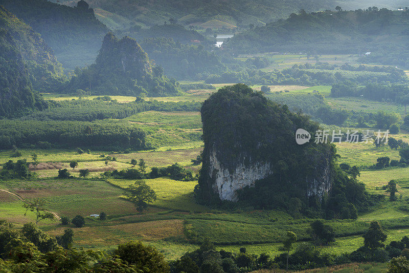 泰国Phayao省的Phu Langka山森林公园的晨景